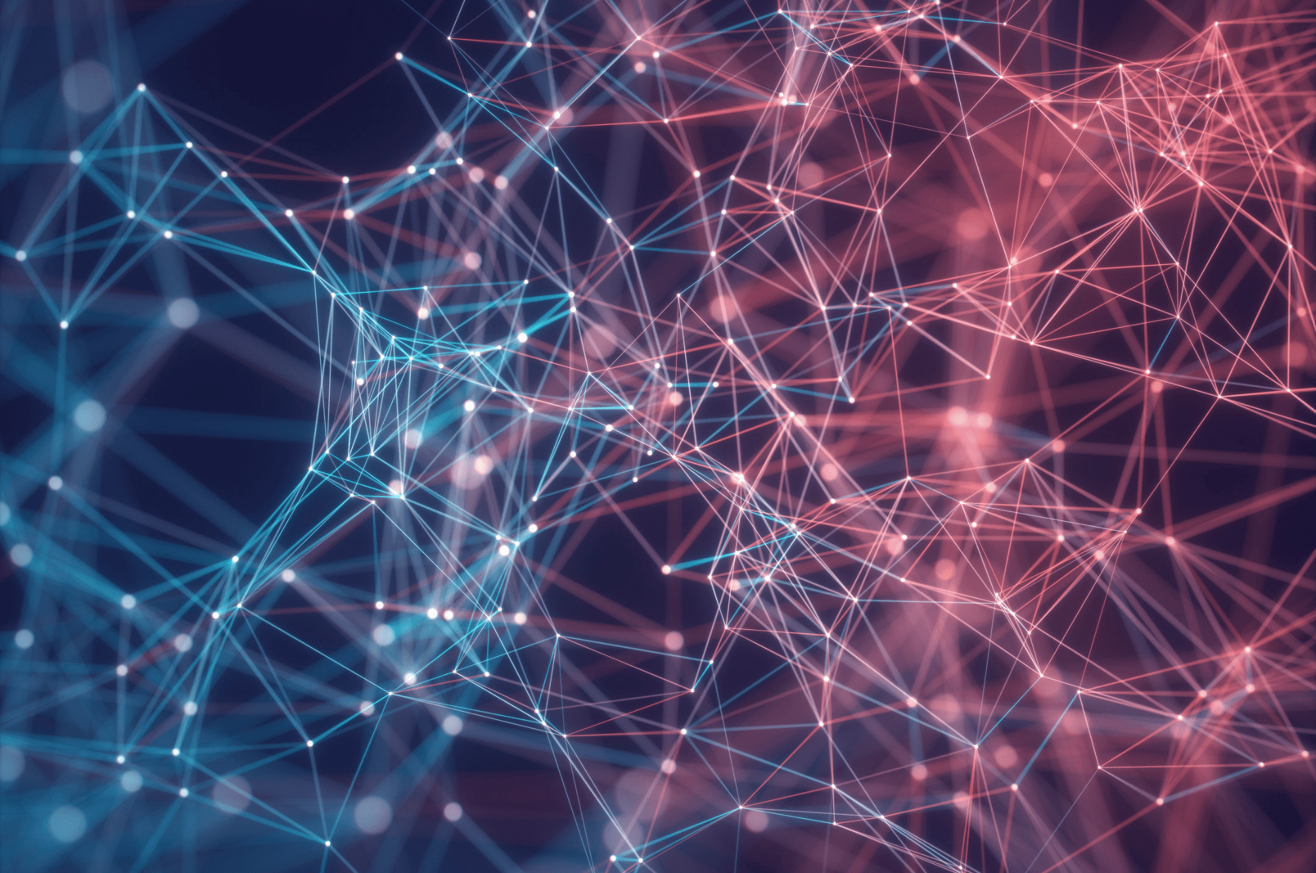 Our Global Network
