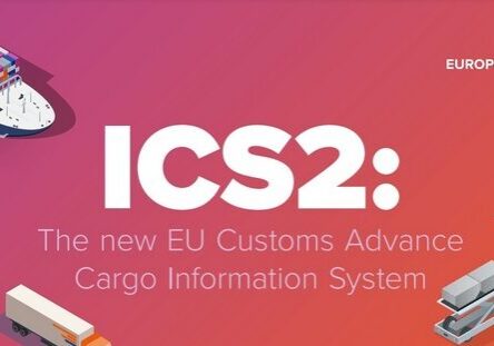 EU Import Control System 2